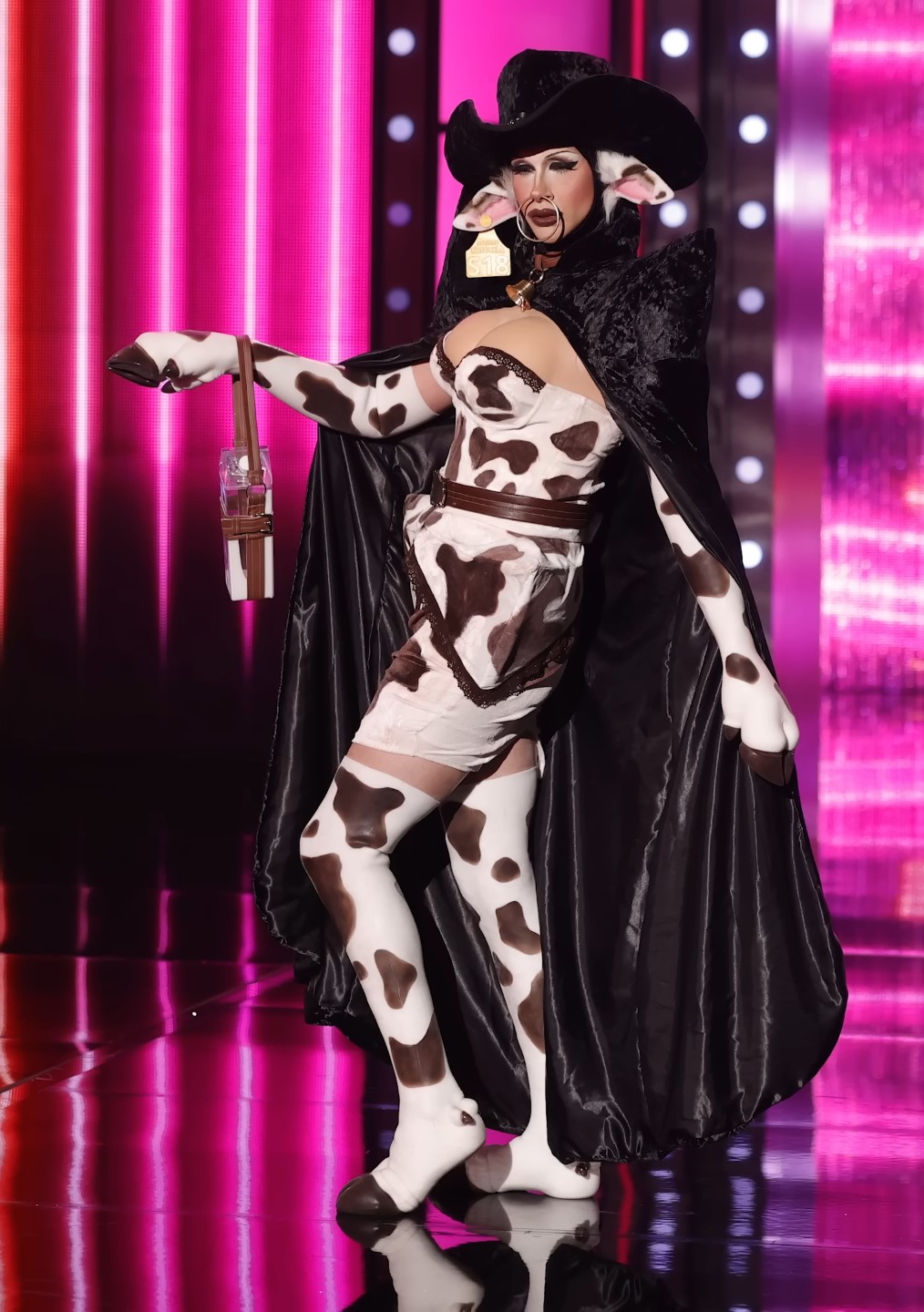 Darlene Mitchell – Animal Attraction