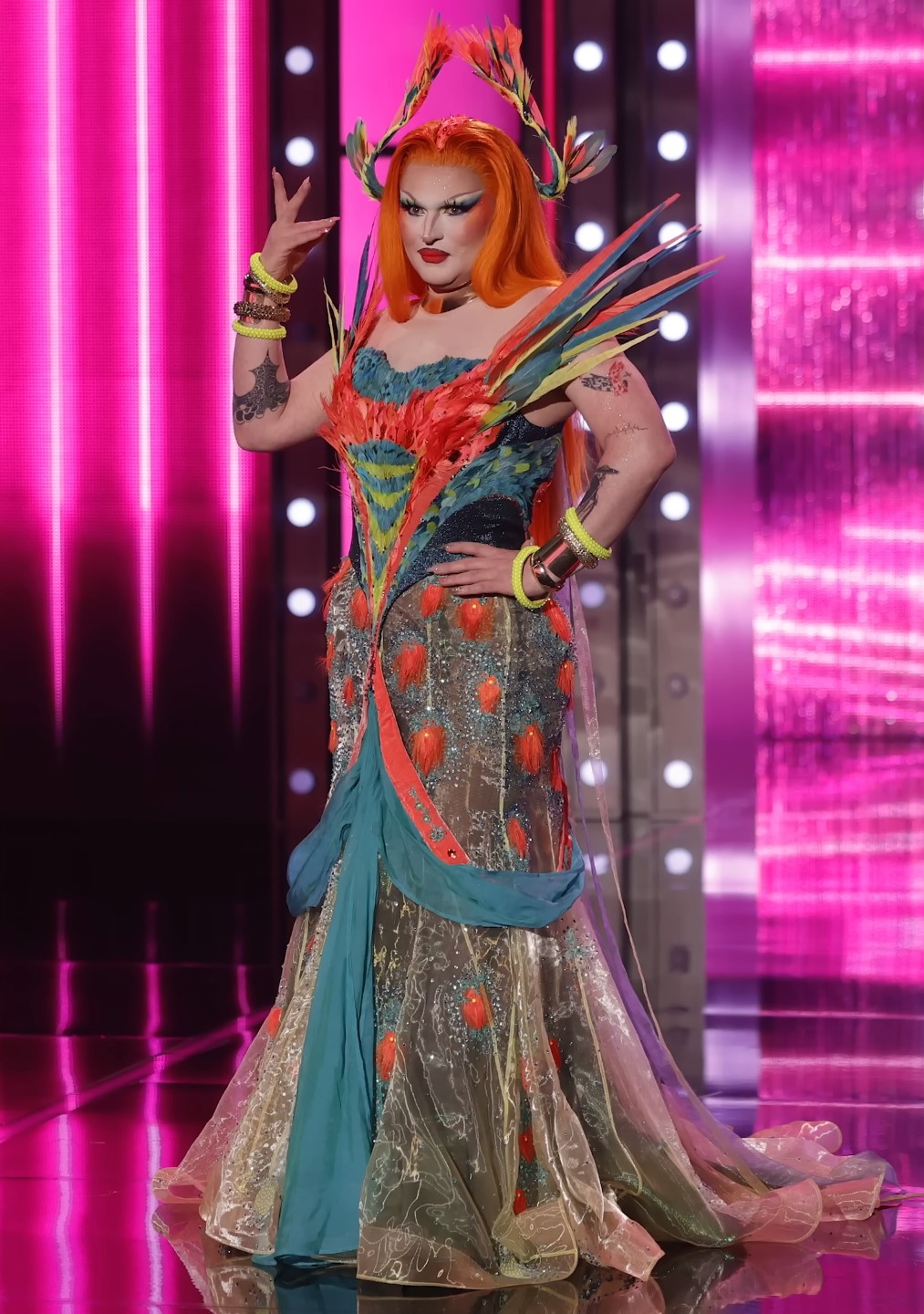 Jane Don't – Animal Attraction